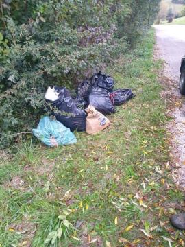 Resized_20201013_073336