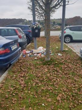 Resized_20201112_114620