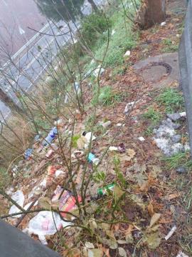 Resized_20201208_104630